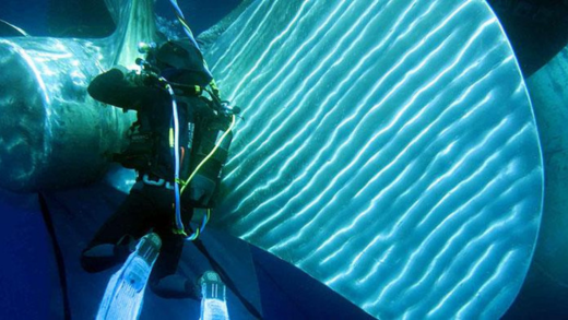 Ship Husbandry Services